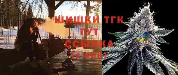 стаф Гусев