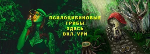 гидропоника Абаза