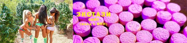 хмурый Лиски
